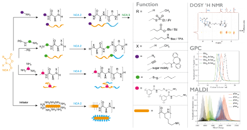 Polymer Synthesis | Barz Lab